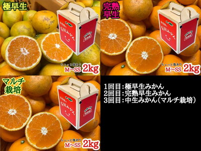 【定期便】【ちょっと傷あり 約2kg×3回コース】有田みかん
