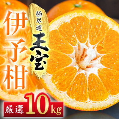 【ふるさと納税】【愛媛名産】玉宝伊予柑　10kg【F64-60】【1510839】
