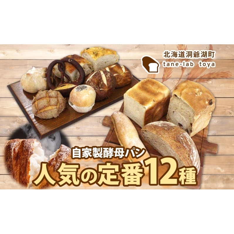 自家製酵母パン 人気の定番セット Lサイズ パン 道産 小麦 惣菜パン 菓子パン フォカッチャ ベーグル プレッツェル 角食 山食 朝食 軽食 手づくり 自家製 酵母 人気 詰め合わせ 冷凍 北海道 