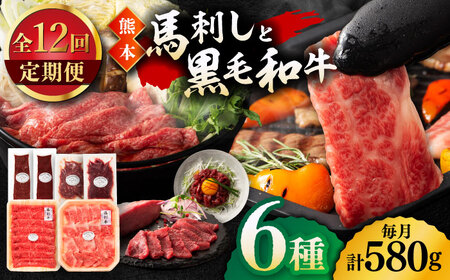 【12回定期便】「熊本特産馬刺しと熊本黒毛和牛」フジチクオリジナル贅沢食べ比べセット 3905【有限会社 スイートサプライなかぞの】[ZDT149]