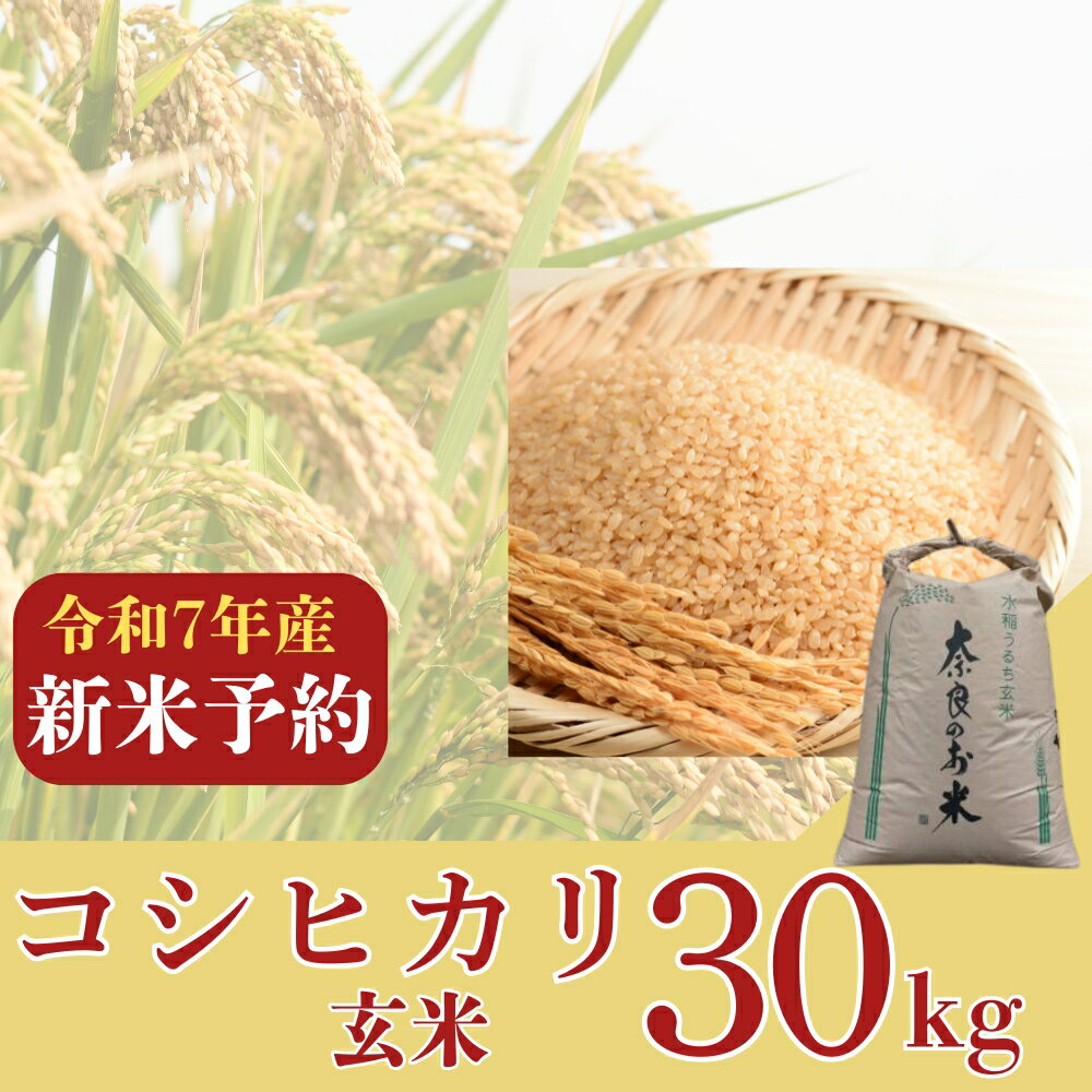 【ふるさと納税】【2025年9月以降発送】新米コシヒカリ　30kg（玄米） 新米 大和高原 コシヒカリ 大和高原醸造所 奈良県 奈良市 なら 81-003