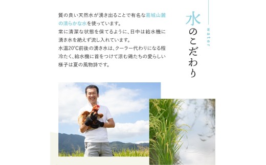 たまごかけご飯セット 卵40個入り ／ たいまのけはやたまご 卵 たまごかけご飯 おたまはん お米 生卵 奈良県 葛城市【tegg006】