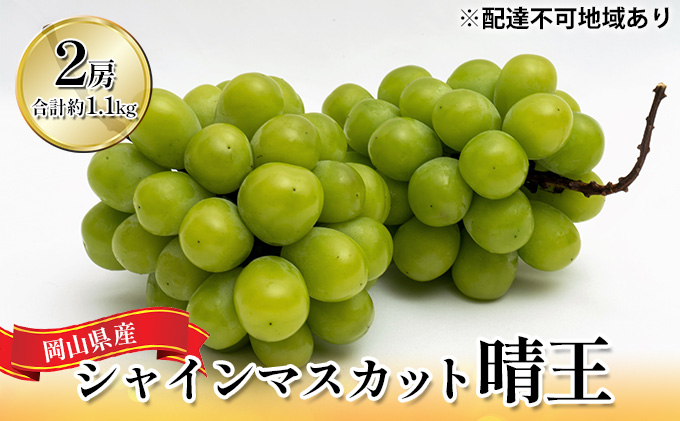 ぶどう 2026年 先行予約 シャイン マスカット 晴王 2房 （合計約1.1kg） 化粧箱入り マスカット ブドウ 葡萄  岡山県産 国産 フルーツ 果物 ギフト 