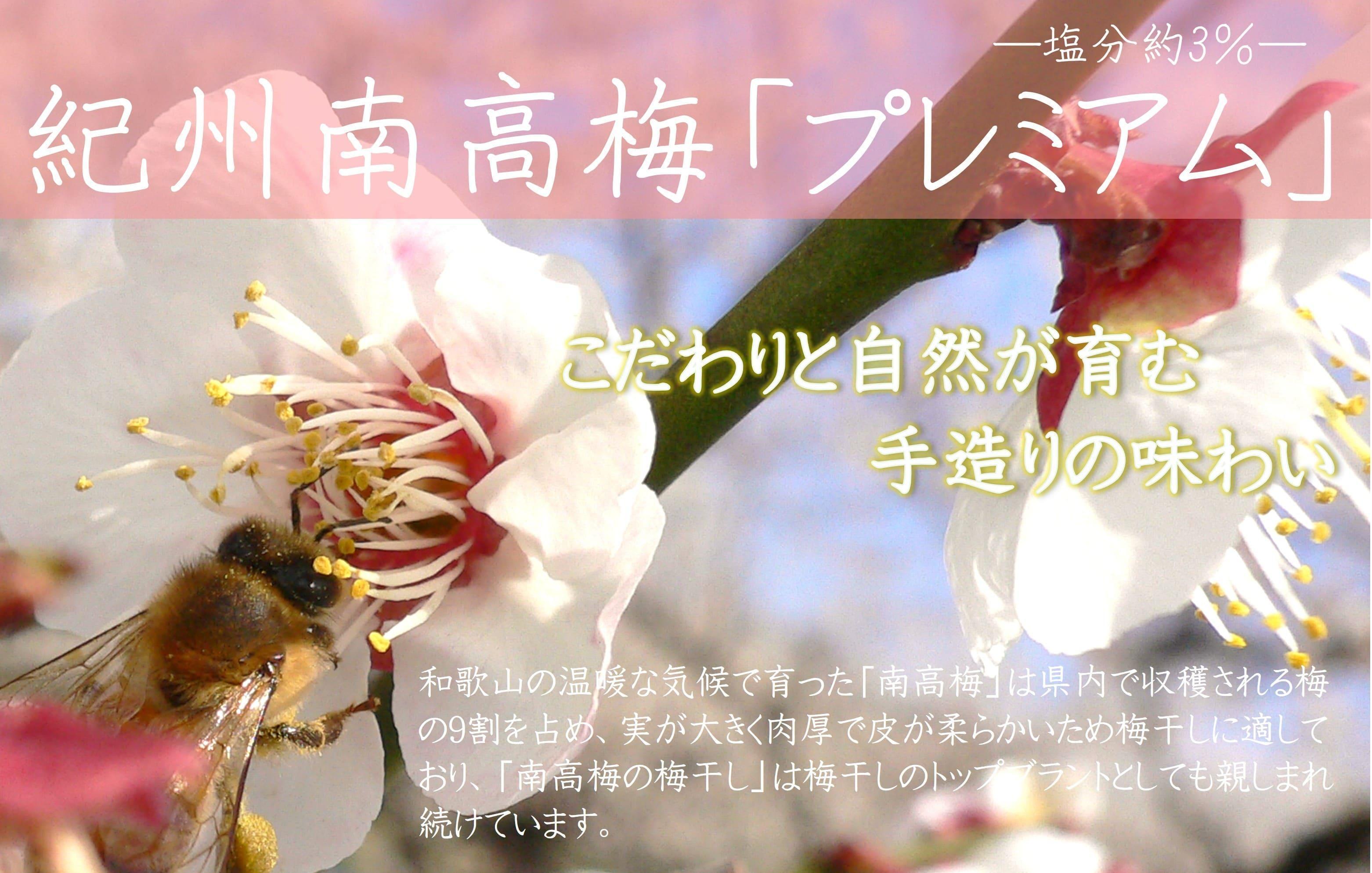 紀州南高梅 プレミアム 塩分約3％ 500g ［YM11］