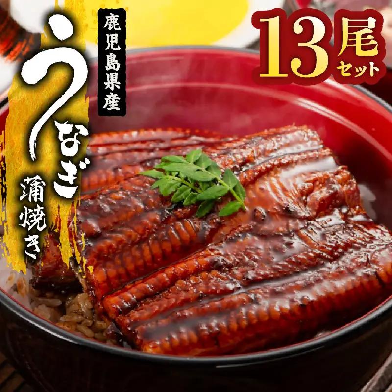  2124 鹿児島県産 うなぎ蒲焼 13尾 KN058-002-13 魚 冷凍 鰻