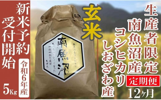 【新米予約・令和6年産】定期便12ヶ月：玄米５Kg 生産者限定 南魚沼しおざわ産コシヒカリ