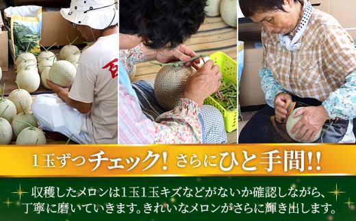 【定期便３ヶ月】純系マスクメロン２玉【通年栽培】：2026年１２月～2027年２月発送分　マスクメロン メロン フルーツ 果物 2玉 2個 年間 通年 2026年 2027年 先行予約 先行受付 発送 発送時期選べる 定期便 毎月 3ヶ月 3回 おすすめ 贈答用 優 高級 化粧箱 箱入り プレゼント 贈り物 ギフト 国産 千葉県 富津市 モリタ農園