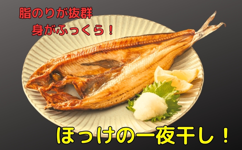 ほっけ一夜干し1枚×7P、さんま明太3P B-83007
