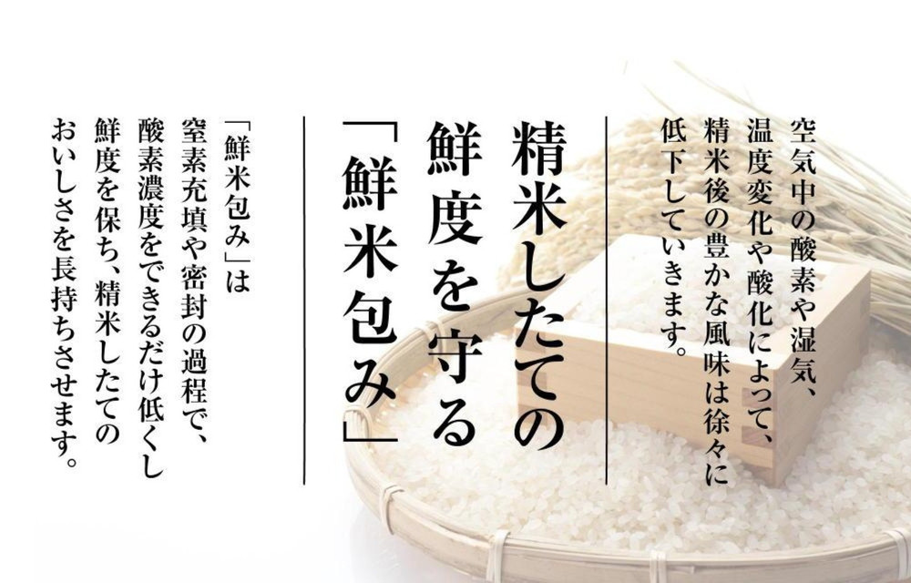 【令和7年産】雪温精法　新潟県産コシヒカリ＆新之助　各２kg