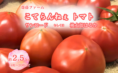 【期間限定】こてらんねぇトマト 14～20粒(約2.5kg・サンロードor桃太郎はるか)(F26)