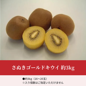 キウイ さぬきゴールドキウイ 約3kg (20玉～24玉)