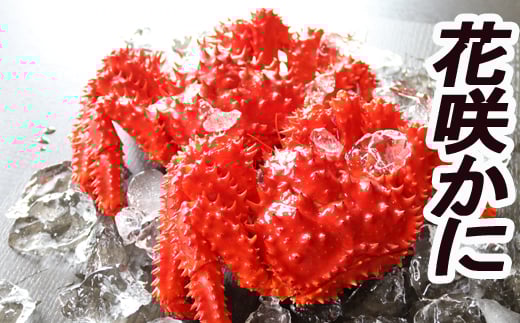 D-36007【年内配送可】 【北海道根室産】花咲かに400～600g×10尾