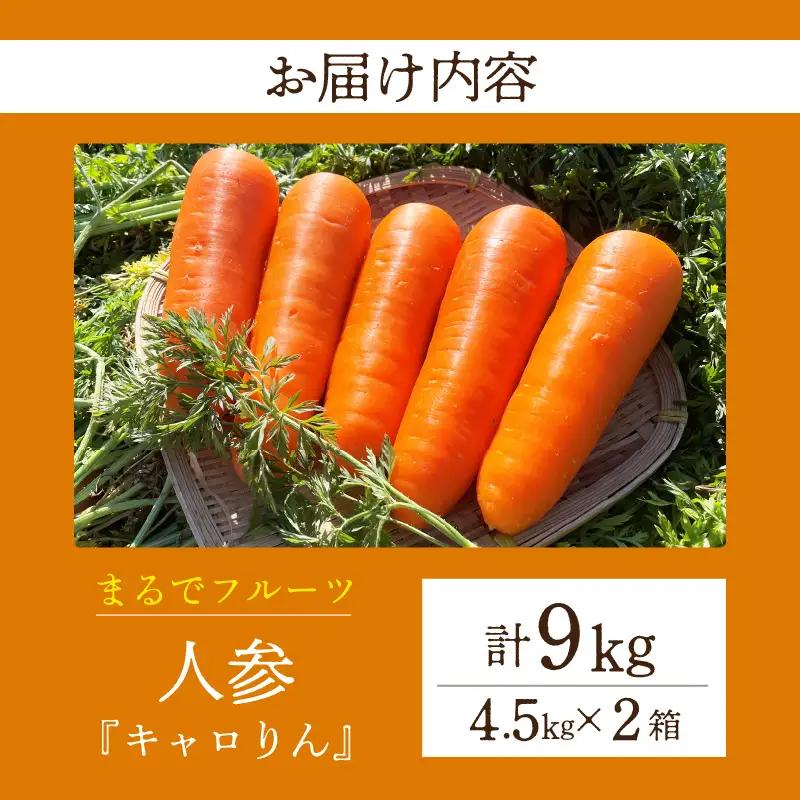 人参『キャロりん』（4.5kg×2箱）合計9kg・H109