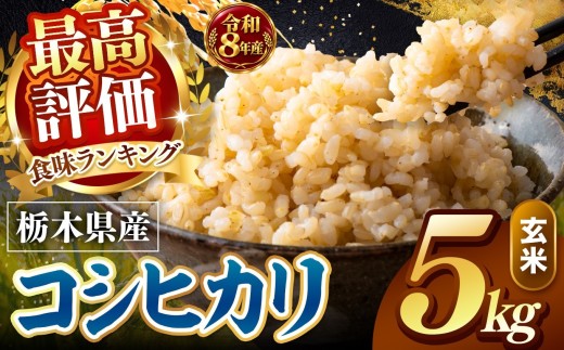 【令和8年産 先行予約】訳あり こしひかり 玄米 約5kg |   米  お米 こめ 玄米 ご飯 ごはん もちもち コシヒカリ   栃木県 真岡市 送料無料