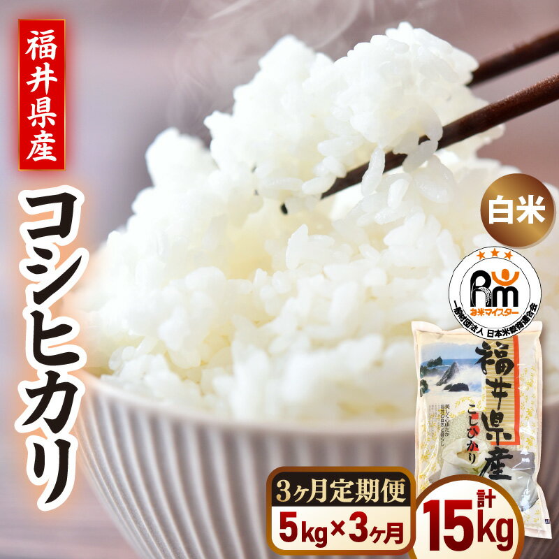 【ふるさと納税】【定期便3ヶ月】令和7年産 米 コシヒカリ精米 5kg × 3回（計15kg）福井県産【白米 5キロ 15キロ こしひかり お米 ごはん 人気品種 産地直送 新生活 kome 】