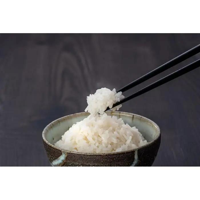 【先行予約】令和8年産 コシヒカリ 5 kg 鹿野高原米 精米 5日以内発送