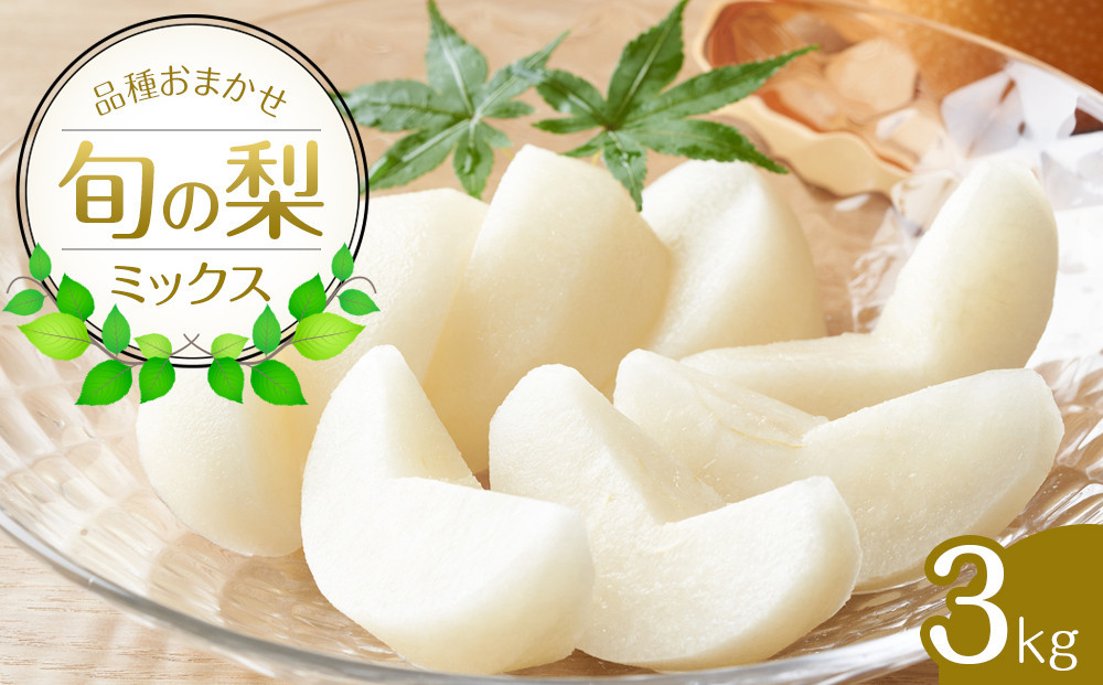 
            308.【先行予約】【品種はおまかせ】旬の梨ミックスセット 3kg ※2025年8月下旬～12月下旬頃に順次発送予定【先行予約 梨 なし 果物 フルーツ くだもの 鳥取県 北栄町 おすすめ 人気 送料無料】
          