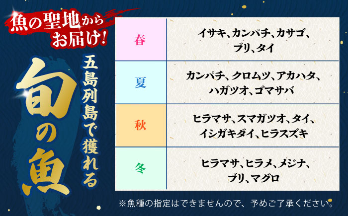 【全12回定期便】金澤仕立て 鮮魚ボックス 旬の魚2種 鮮魚 簡単 旬 海鮮 真空 冷蔵 五島市/金沢鮮魚 [PEP011]