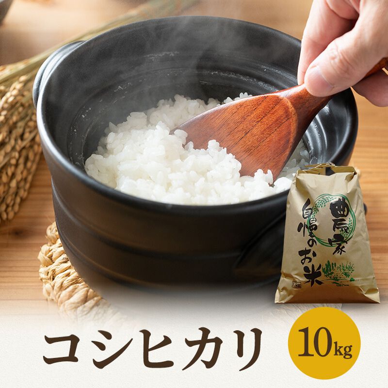 【ふるさと納税】選べる 米 令和7年産 コシヒカリ 5kg 10kg 白米 精米 単一原料米 ブランド米 高評価