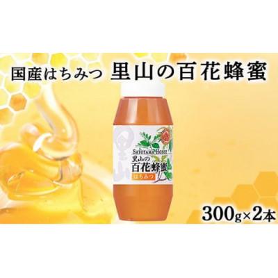 ふるさと納税 鏡野町 山田養蜂場 里山の百花蜂蜜300g(プラ容器入)×2本 (64231)