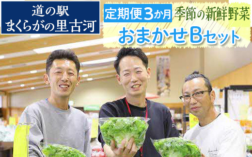 
【定期便３か月】道の駅まくらがの里古河　季節の新鮮野菜おまかせBセット ※北海道・沖縄・離島への配送不可 | 野菜 おいしい 産地直送 新鮮 詰め合わせ 定期便 便利 簡単 手軽 やさい ヤサイ 茨城県 古河市 お楽しみ 野菜定期便 セット_BQ06
