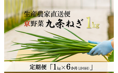 【6か月定期便】生産農家直送 京野菜・九条ねぎ1kg〈ねぎ 野菜 京都