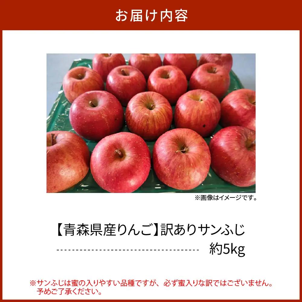 【2026年11月下旬発送】 青森りんご 約5kg サンふじ 《訳あり》 りんご