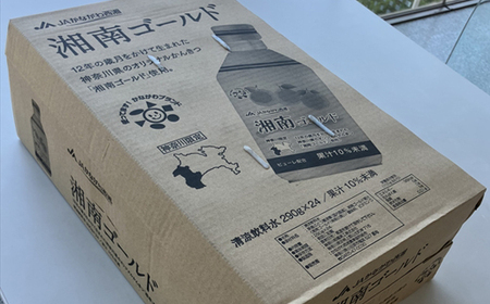【定期便3ヶ月】湘南ゴールドスカッシュ　290ml×24本入り【 神奈川県 山北町 】