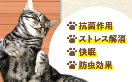 ねこプランター ワイドサイズ・高級ヒノキ製ペット用プランター型ベット 亀山市/中川木材株式会社[AMAI001]