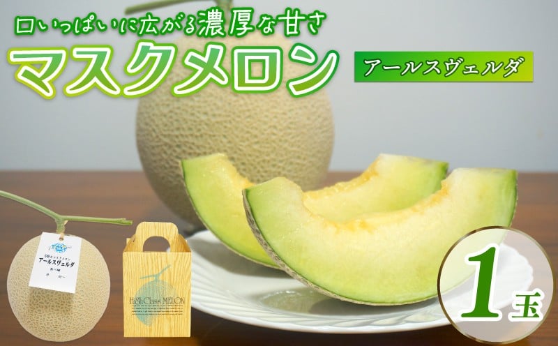 
            【2025年9月中旬発送開始】 マスクメロン 1玉 メロン フルーツ ギフト 果物 夏 季節限定 甘い おいしい 贈り物 お取り寄せ 産地直送 新鮮 熟成 国産 スイーツ デザート ジューシー 贈答用 プレゼント 人気 お中元 数量限定 先行予約 新発田ファーム 新潟県 新発田市 shibatafarm005
          