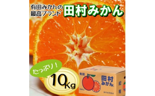 高級みかん秀 田村みかん 約10kg 【2025年11月発送分】【NGT11w】