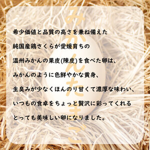 みかんたまご と 純卵-じゅんたまご 2種の卵食べ比べセット 計40個(10個×4パック) ※割れ保証5個 (卵 たまご タマゴ 玉子 卵料理 卵かけごはん TKG エッグ egg 松山 愛媛県 )