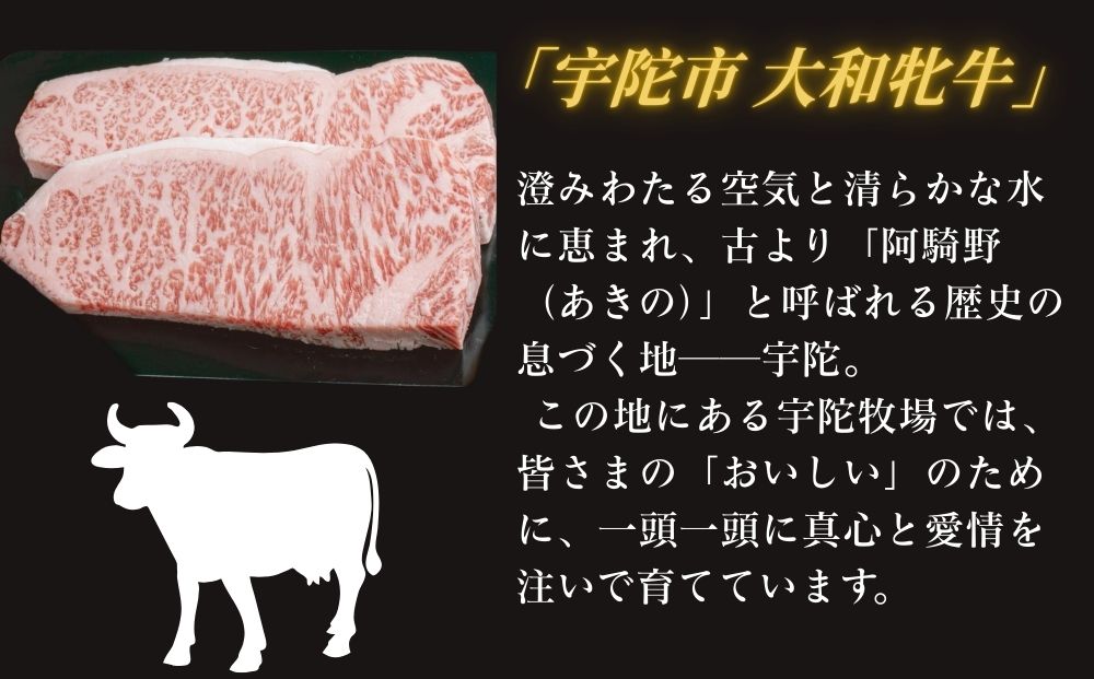 ＜冷凍＞大和牝牛 サーロインステーキ 300g×2枚 計600g ／太田家 和牛 牛肉 焼肉 お弁当 バーベキュー アウトドア キャンプ 父の日 お中元 贈答用 贈り物 暑中見舞い お土産 お歳暮 美