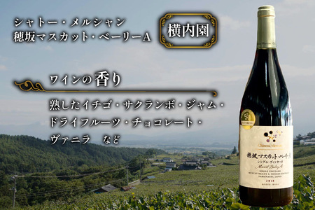 【定期便12回】赤ワイン 穂坂マスカット・ベーリーＡ シングル・ヴィンヤード 750ml 2種 アルコール度 12%