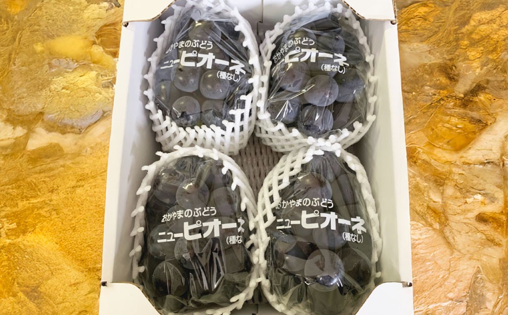 【2026年8月下旬発送予定】ぶどう 2026年 先行予約 ニュー ピオーネ 3～4房 合計2kg以上 ブドウ 葡萄  岡山県産