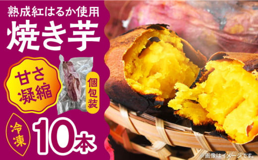 【数量限定】【ねっとり甘い熟成サツマイモ】冷凍焼き芋（紅はるか） 10本(S～M) / さつまいも やき芋 冷凍 小分け 個包装 冷やし焼き芋 / 南島原市 / 池田海陸物産 [SEW002]