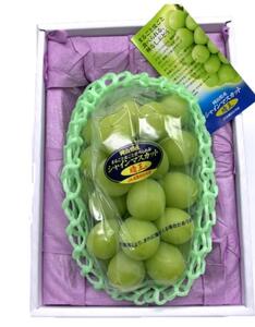 岡山県産　シャインマスカット『晴王』1房(800g以上) 化粧箱入り