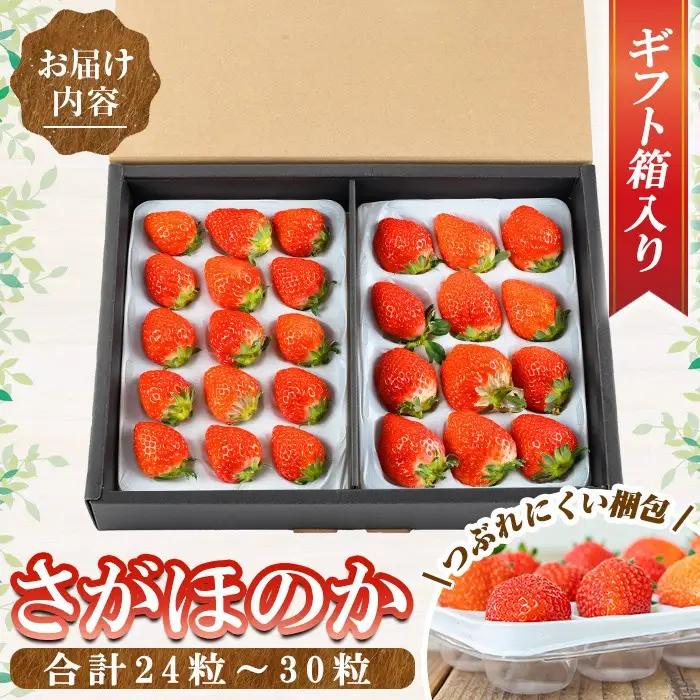 a881-01 【平日着】＜先行予約受付中！2027年2月上旬～3月下旬に発送予定＞ いちご・さがほのか(合計24粒～30粒)【佳農園】国産 鹿児島県産 苺 イチゴ フルーツ 果物 くだもの ギフト 