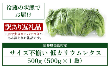 【訳あり】低カリウムレタス 500g 不揃い クリーンルーム栽培 無農薬 鮮度長持ち 【野菜 生野菜 レタス サラダ 水耕栽培 洗わず食べられる 時短 付け合わせ 規格外】レタス フリルレタス 野菜 