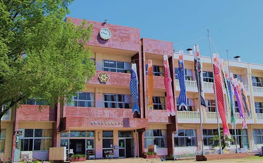 
                  【笠間市立の小・中学校を支援】友部第二小学校 米 精米 白米 コシヒカリ こしひかり 真空 パック お米 お弁当 おにぎり 国産 茨城県 笠間市 いばらき
                