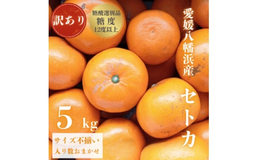 ＜みかんの大トロ＞糖度12.0以上酸1.4以下 糖酸選別品 訳あり 愛媛セトカ5kg＜D20-74＞【1620328】
