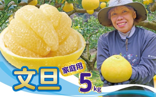 清家農園の文旦5kg家庭用【特別栽培・農薬不使用】