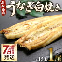 【ふるさと納税】【7日程度で発送】高知県産うなぎ白焼き 1尾(約120g)(無頭) - スピード発送 鰻 ウナギ 魚介 山椒塩 惣菜 おかず のし ギフト お礼 御礼 感謝 贈答 贈り物 プレゼント 丑の日 国産 敬老の日 うなぎ屋きた本 高知県 香南市【冷凍】un-0016