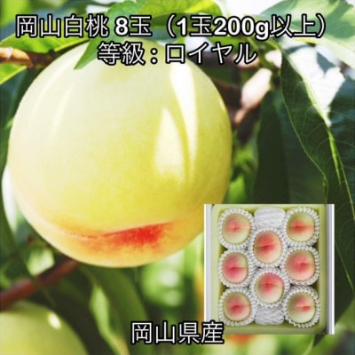 【2026年発送】岡山県産 岡山白桃 8玉(1玉200g以上)ロイヤル 化粧箱入り【配送不可地域：離島】【1710826】