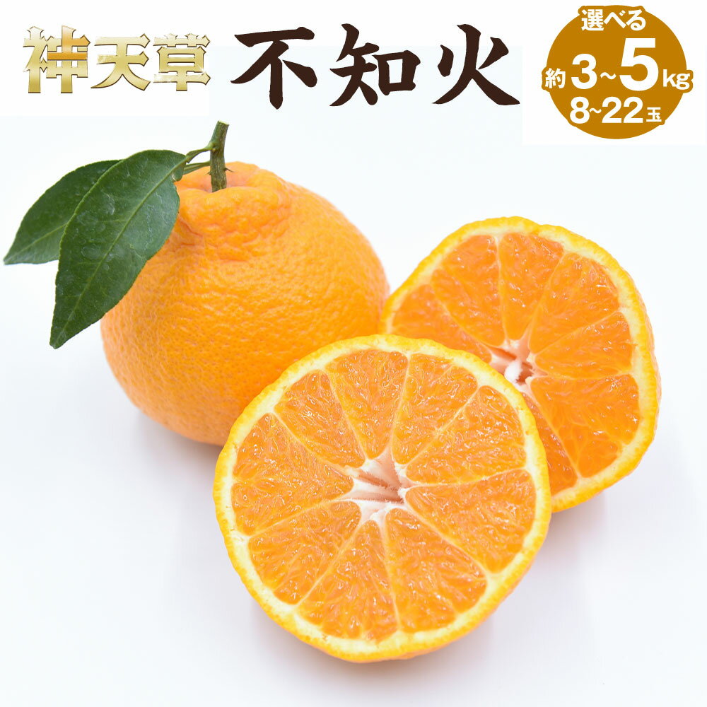 【ふるさと納税】【先行受付】【選べる容量】不知火 約3～5kg 8玉～22玉 しらぬい 柑橘 果物 フルーツ みずの果樹園 熊本県産 送料無料 【2026年3月下旬から5月上旬順次発送予定】