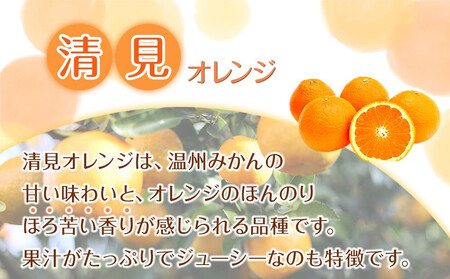家庭用 森本農園の手選別 大玉清見オレンジ 約4.5kg 和歌山県産 2L~4Lサイズ混合 ［北海道・沖縄・離島配送不可］［2026年2月上旬から5月中旬頃順次発送予定］［RN100］