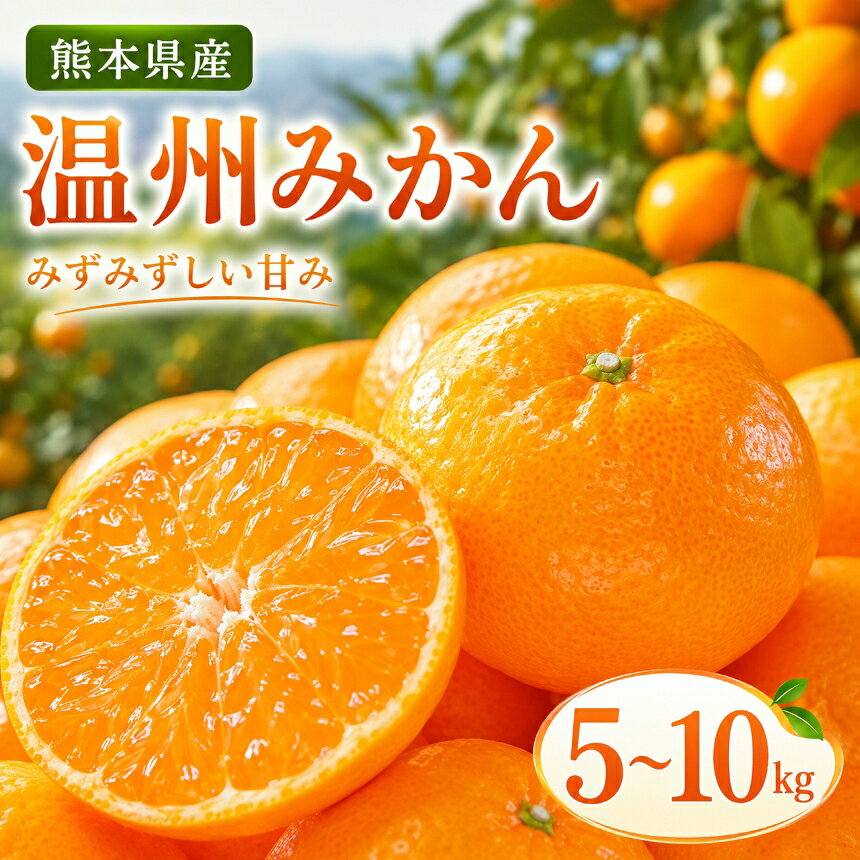 【ふるさと納税】 【 先行予約 】 温州みかん 和水町産 約 10kg ｜ みかん 柑橘 熊本 くまもと 秀品 産地直送 熊本復興 人気 温州 なごみまち