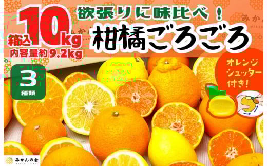 
            旬の柑橘食べ比べ 柑橘ごろごろ 3種 箱込 10kg(内容量約 9.2kg) 秀品 優品 混合 和歌山県産 産地直送 【おまけ付き】【みかんの会】
          