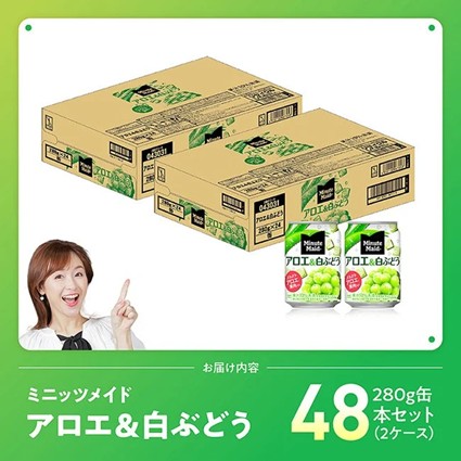 コカ・コーラ ミニッツメイド「アロエ&白ぶどう」280g缶 48本（24本×2箱） 【 飲料 アロエ 白ぶどう 果汁 長期保存 】 [C11132] 【単発】280g×48本（24本×2箱（2口に分け