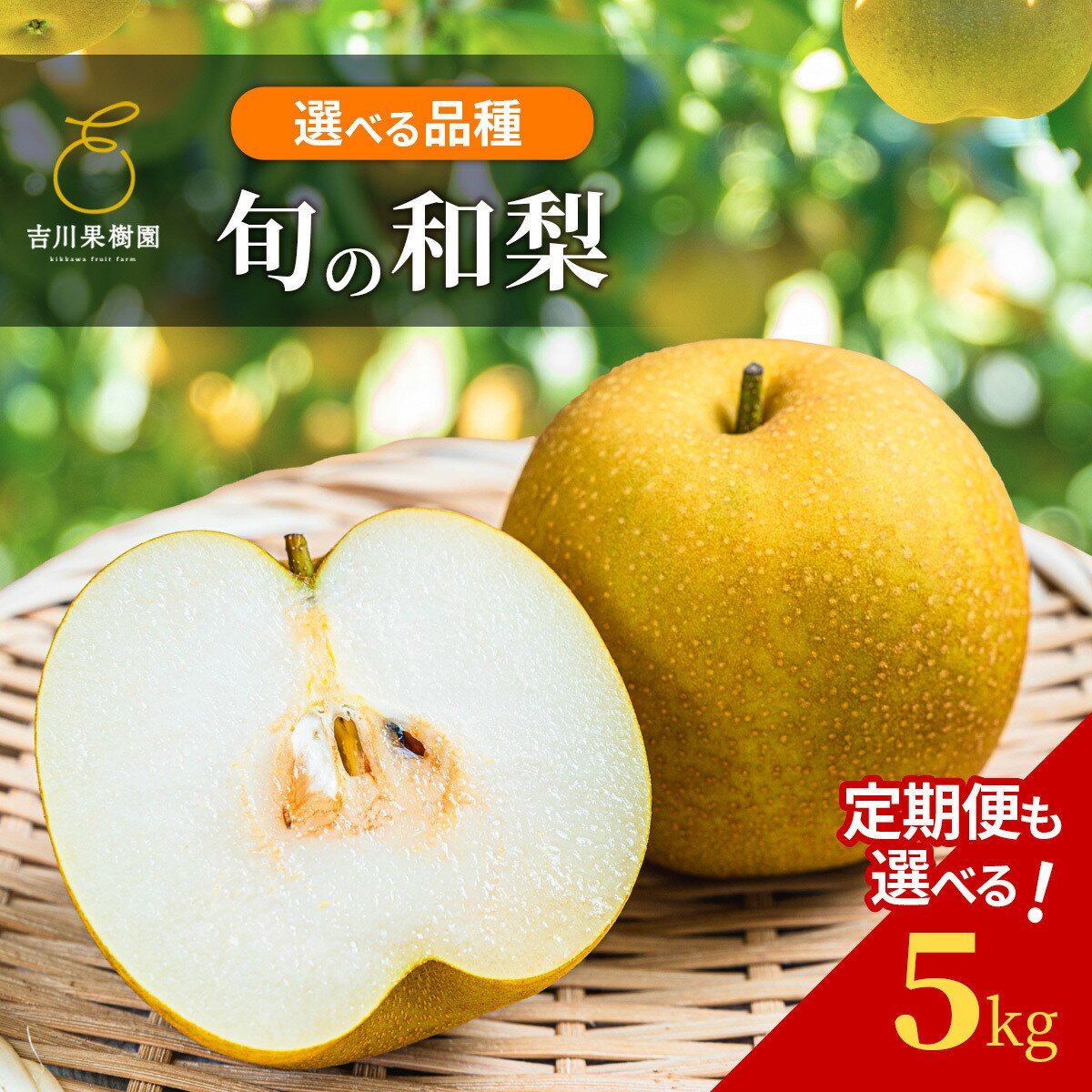 【ふるさと納税】【2026年発送分先行予約】【種類選択可！定期便あり】新高・幸水・豊水・あきづき　約5kg10月中旬～順次発送【吉川果樹園】 | フルーツ 果物 くだもの 食品 人気 おすすめ 送料無料